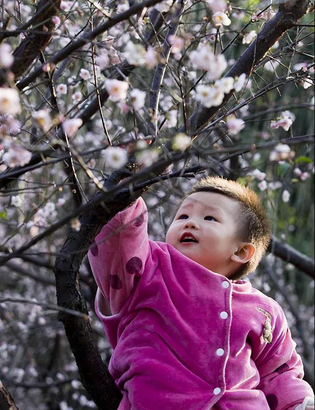 微信圖片_20180314150215.jpg 微信圖片_20180314150215.jpg